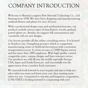 Blow Ups Santa Snowman House Yard Decorations Holiday Winter Indoor Outdoor Christmas Santa Claus Christmas Inflatable Decor