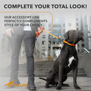 Orange Extra Heavy Duty Dog Leash 4 Ft x 1 in for Large Medium and Small Dogs